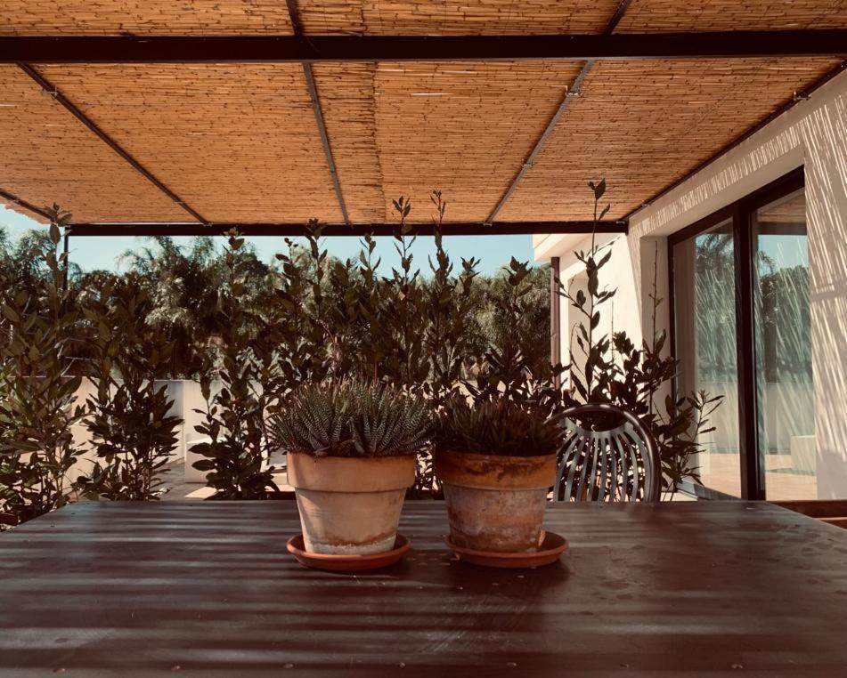 Petrasicula Apartment Aci Trezza Εξωτερικό φωτογραφία